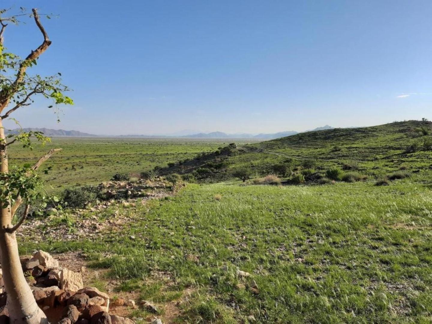 Camp Gecko - Private Nature Reserve; Tented Camp And Campsite Solitaire Extérieur photo
