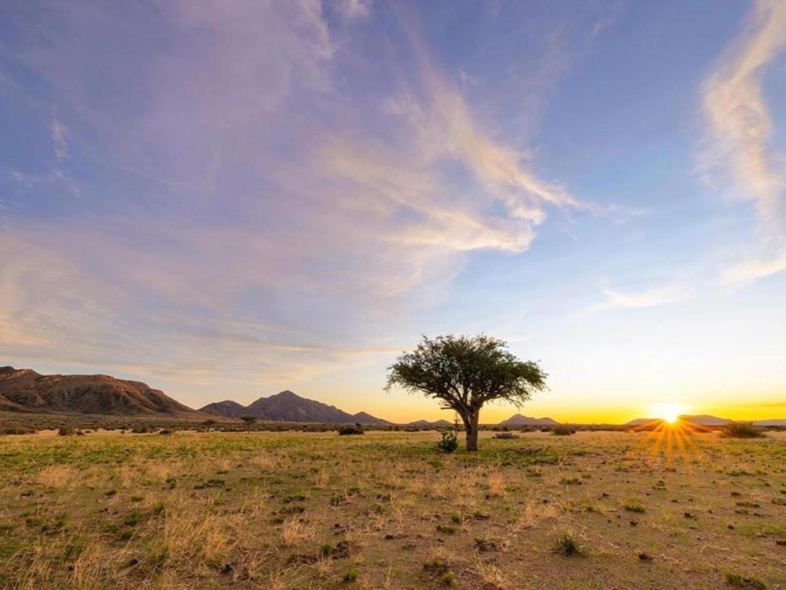 Camp Gecko - Private Nature Reserve; Tented Camp And Campsite Solitaire Extérieur photo