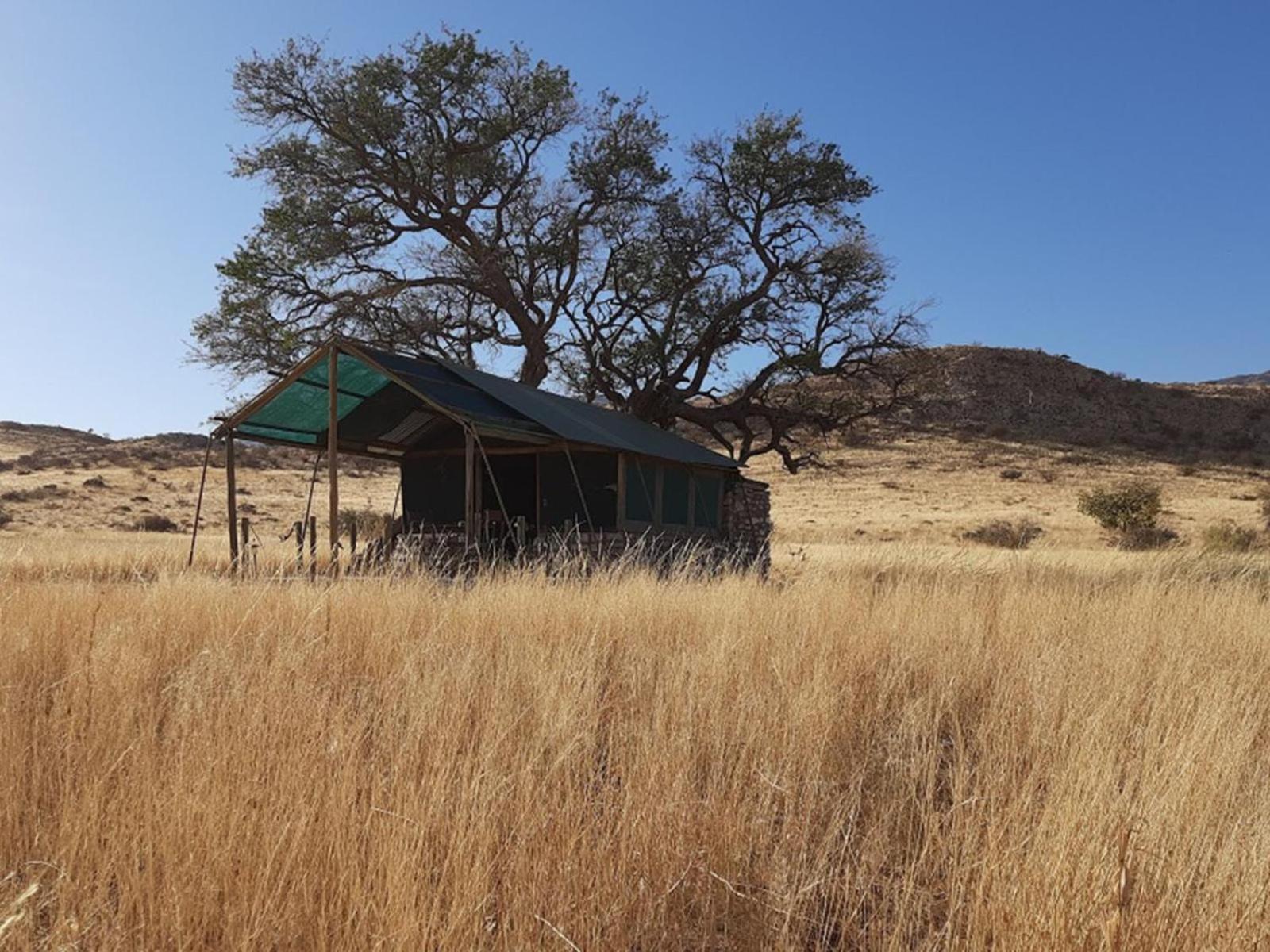 Camp Gecko - Private Nature Reserve; Tented Camp And Campsite Solitaire Extérieur photo